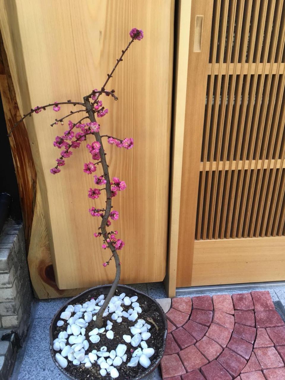 Apartmán 美築八坂 Kjóto Exteriér fotografie